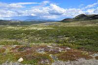 124 Wanderung auf dem Dovrefjell