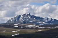 129 Wanderung auf dem Dovrefjell, Svanatindan 2209 m