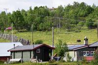 160 Dovrefjell, Moschusochsen-Safari