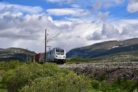 176 Dovrefjell, Fjellbahn