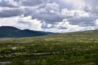 187 Dovrefjell
