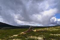 190 Dovrefjell
