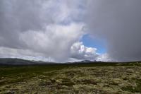 191 Dovrefjell