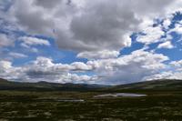192 Dovrefjell