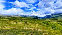 194 Dovrefjell