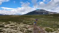 201 Dovrefjell