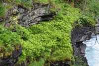 215 Romsdal, Rauma, Slettafossen