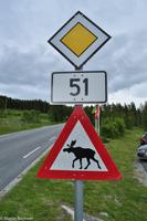 Panoramastraßen Norwegen-85