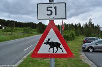 Panoramastraßen Norwegen-86