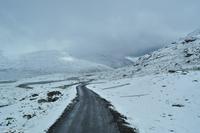 Panoramastraßen Norwegen-99