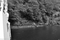 Panoramastraßen Norwegen-124