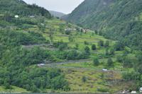 Panoramastraßen Norwegen-133