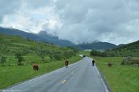 Panoramastraßen Norwegen-151