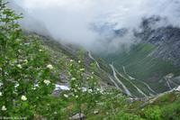 Panoramastraßen Norwegen-165