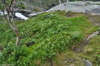 Panoramastraßen Norwegen-167