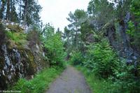 Panoramastraßen Norwegen-208