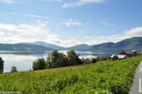 Panoramastraßen Norwegen-223