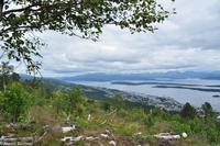 Panoramastraßen Norwegen-244