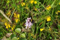 Panoramastraßen Norwegen-246