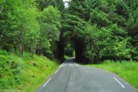 Panoramastraßen Norwegen-274