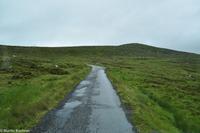 Panoramastraßen Norwegen-276