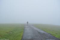 Panoramastraßen Norwegen-278