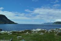 Panoramastraßen Norwegen-286
