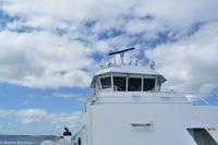 Panoramastraßen Norwegen-321