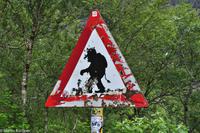 Land der Trolle-39