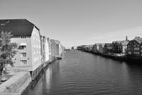 Hurtigruten - Polarlys-65