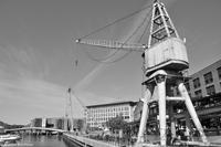 Hurtigruten - Polarlys-68