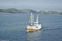 Hurtigruten - Polarlys-84