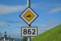 Hurtigruten - Polarlys-139