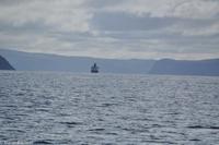 Hurtigruten - Polarlys-158