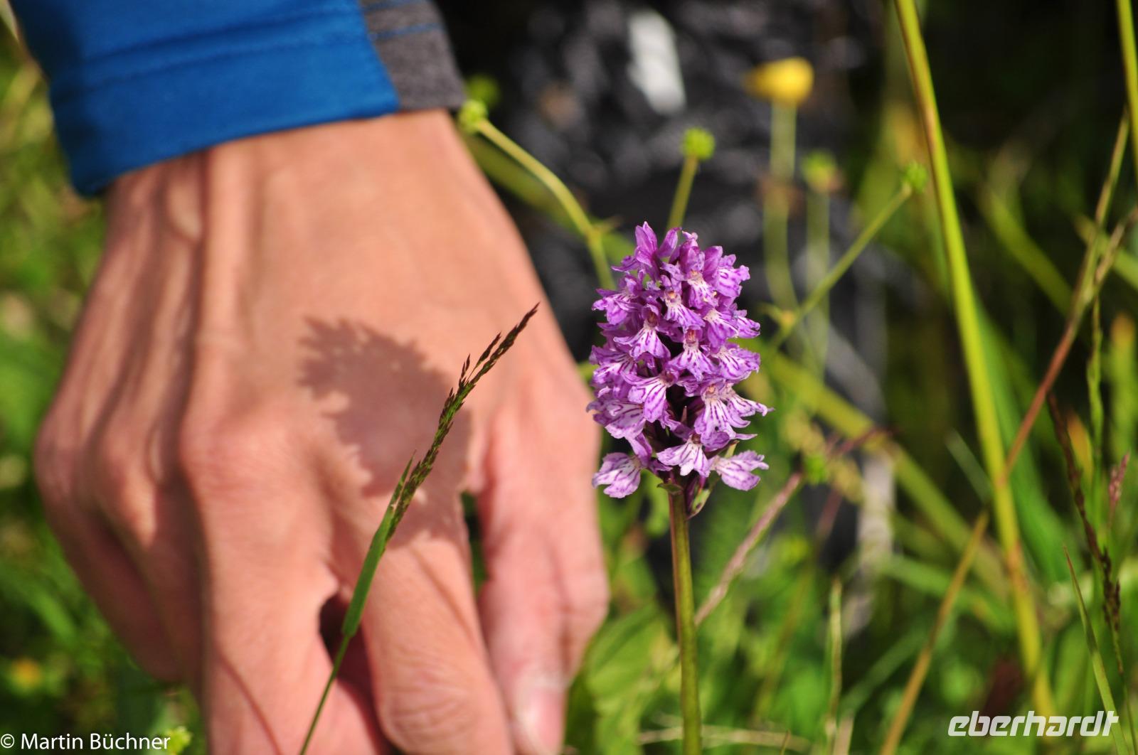 Hurtigruten - Polarlys-180