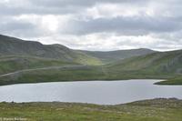 Hurtigruten - Polarlys-188