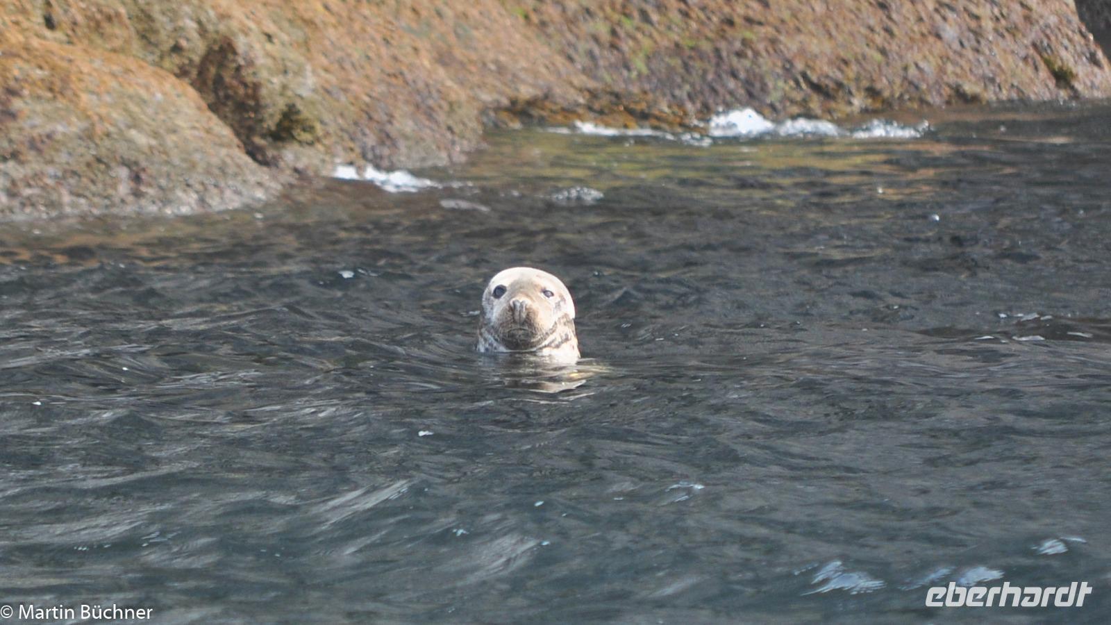 Hurtigruten - Polarlys-193