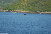 Hurtigruten - Polarlys-244