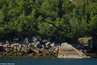 Hurtigruten - Polarlys-249