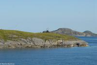 Hurtigruten - Polarlys-291