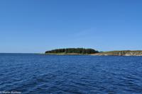 Hurtigruten - Polarlys-298