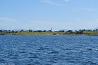 Hurtigruten - Polarlys-299