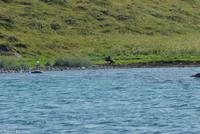 Hurtigruten - Polarlys-300