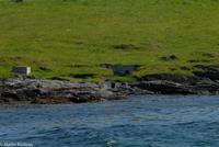 Hurtigruten - Polarlys-302