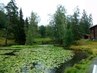 Freiluftmuseum Maihaugen