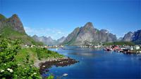 Reine 003