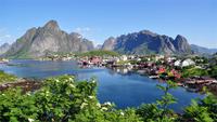 Reine 001