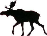 Das berÜhmteste Verkehrsschild Norwegens