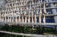 Die typischen Trockengestelle