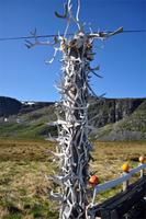 Beim Silberschmied auf der letzten Etappe - der E69 - in Richtung HonningsvÃ¥g
